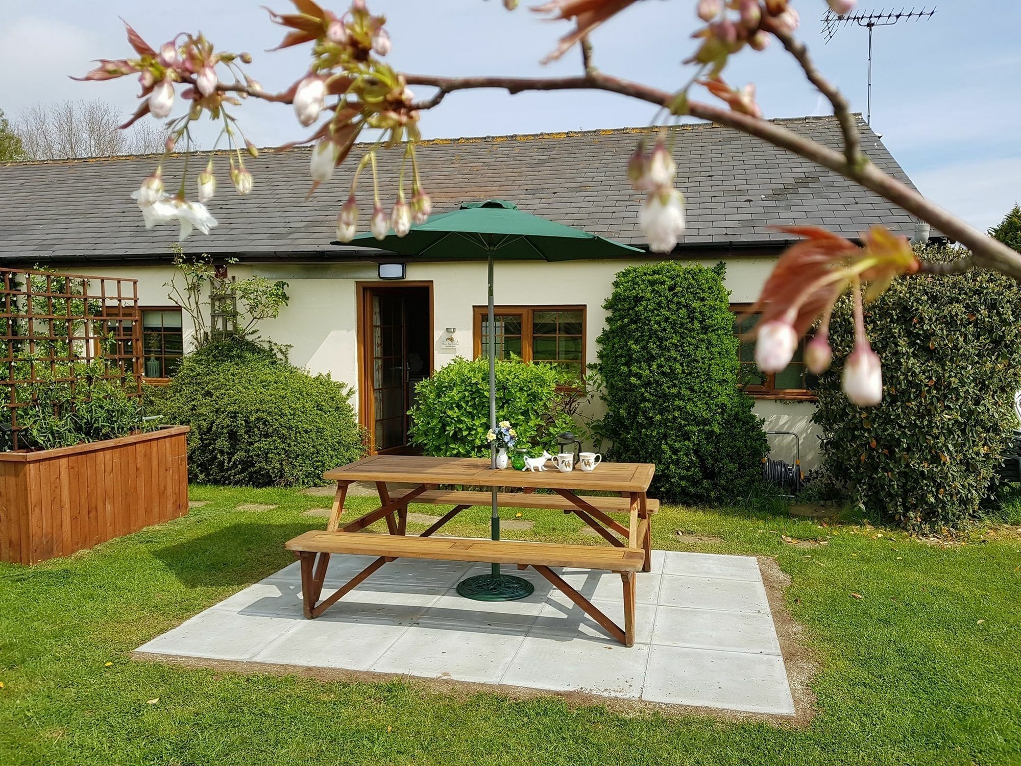 Hawthorn Farm Cottages Κάντεμπερι Εξωτερικό φωτογραφία